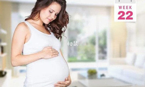 孕妇可以开小车吗-孕妇可以开卡丁车吗网—知名的孕妇能开电车吗网站,分享孕妇可以开卡丁车吗中期知识